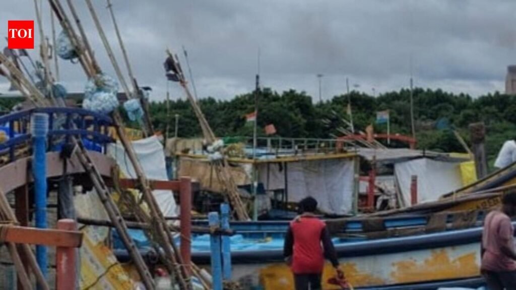 Andhra fishermen take shelter at Gopalpur amid rough sea conditions | Bhubaneswar News