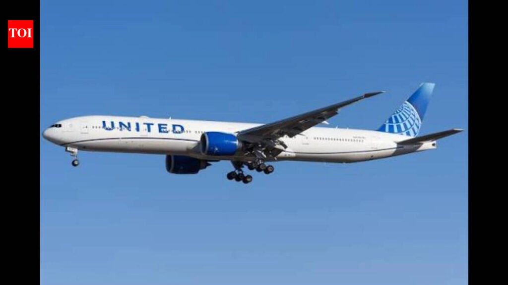 Woman says she was forced to sit next to man who was masturbating, was later given $100 flight credit; United Airlines launches probe