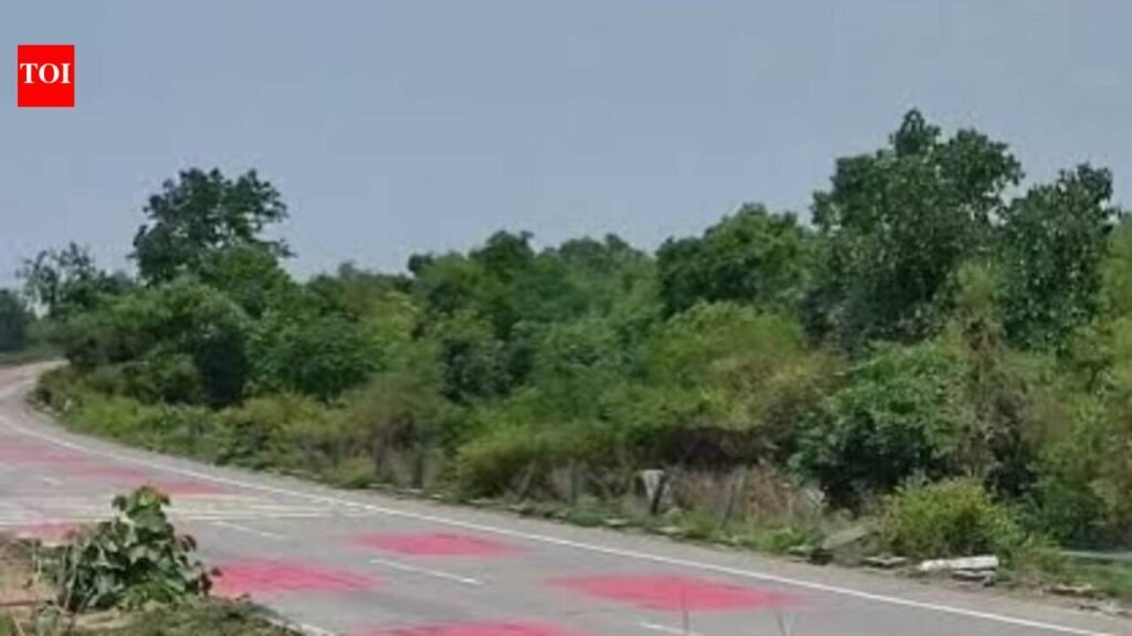 Unidentified woman’s decomposed body found in Hazaribag forest | Ranchi News