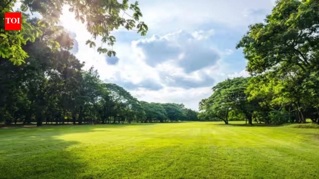 Kalkaji gang-rape fallout: DDA orders safety audit of all Delhi parks, restricts access after sunset | Delhi News