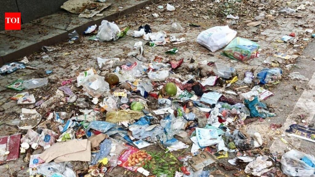 Sanitation strike over, but garbage still piles up across Noida sectors | Noida News