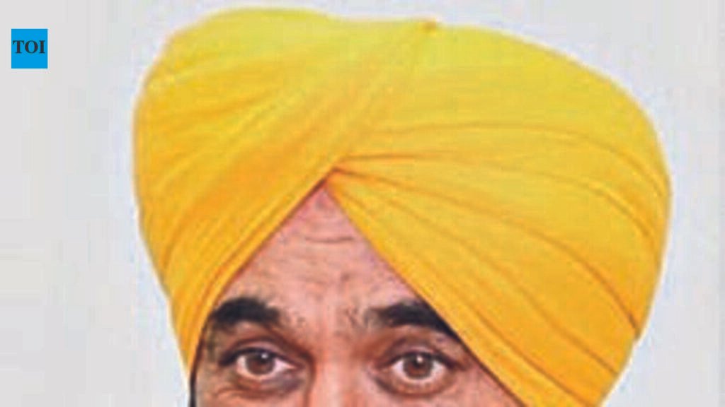 Punjab to recruit 1,000 patwaris: CM Mann | Chandigarh News