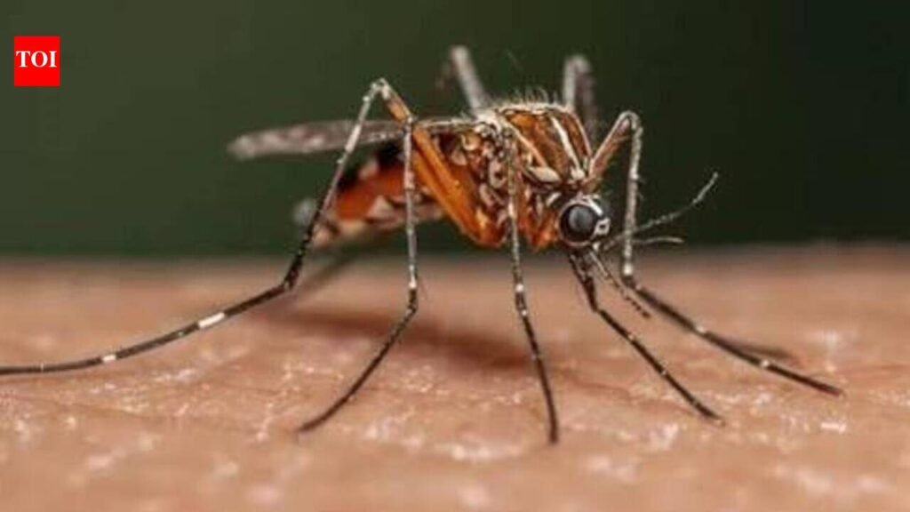 Minister urges vigilance as dengue risk rises amid rains | Thiruvananthapuram News