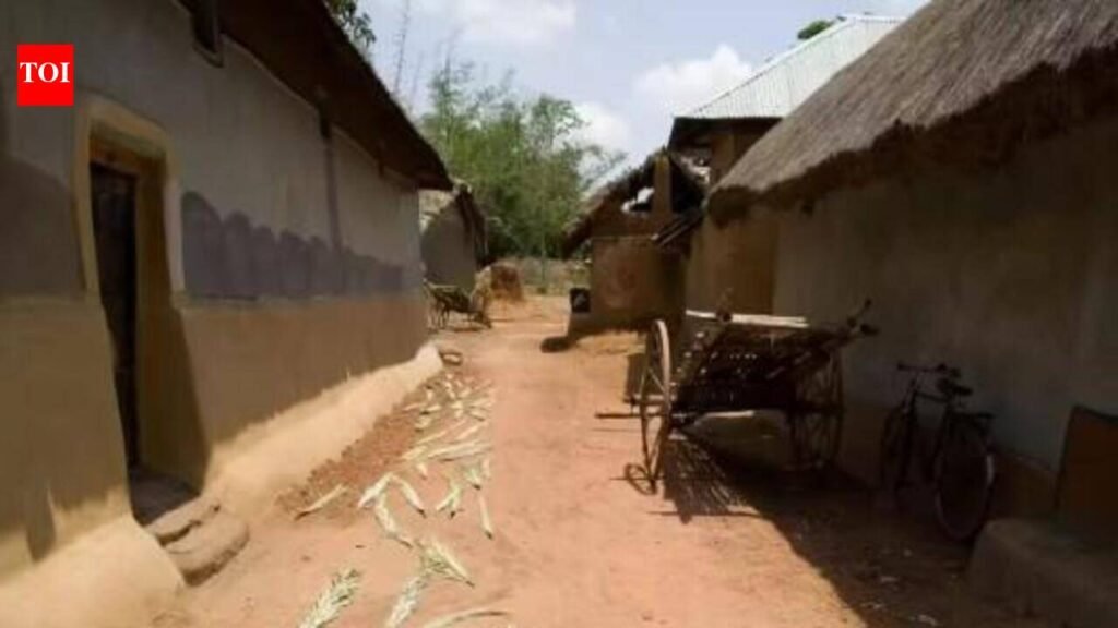 79 years after Independence, 122 Kaimur villages still await power | Patna News