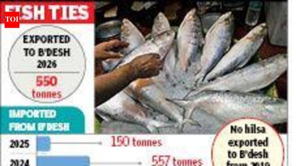 Bangladesh cancels import permits for hilsa from India | Kolkata News
