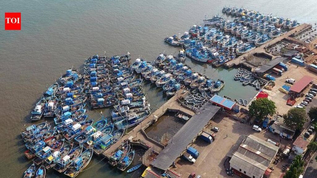 Boat owners submit grievances over infra and fuel costs | Goa News
