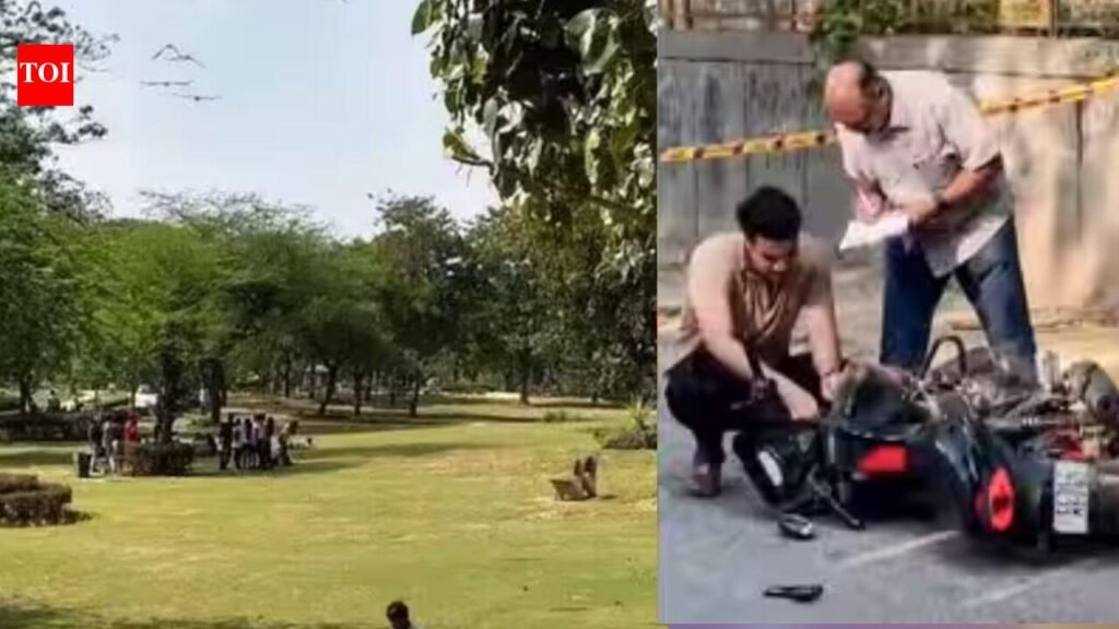 Aastha Kunj Park Gang Rape: Delhi Aastha Kunj park gang-rape accused carried condom in pocket, reveals probe | Delhi News