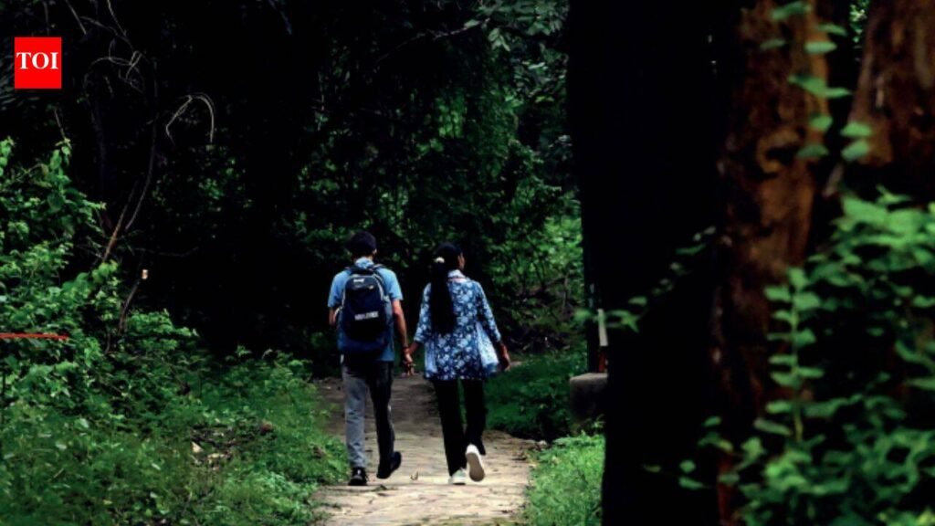 Delhi’s park, street, shop: Nowhere felt safe for these girls | Delhi News
