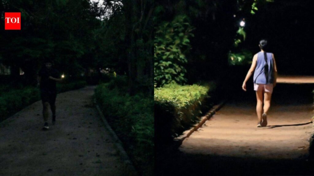 Delhi Security Lapses: Dangers unseen: Unprotected and unlit, Delhi parks fail safety tests after dark | Delhi News