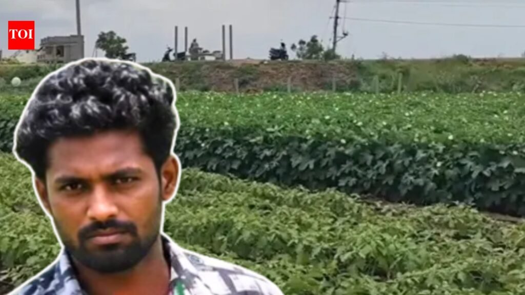 In 2017, this man got a bank job; 8 years later, he returned to his family in Andhra Pradesh after his father’s death and started farming again; he now earns Rs 5,000 daily from vegetables |
