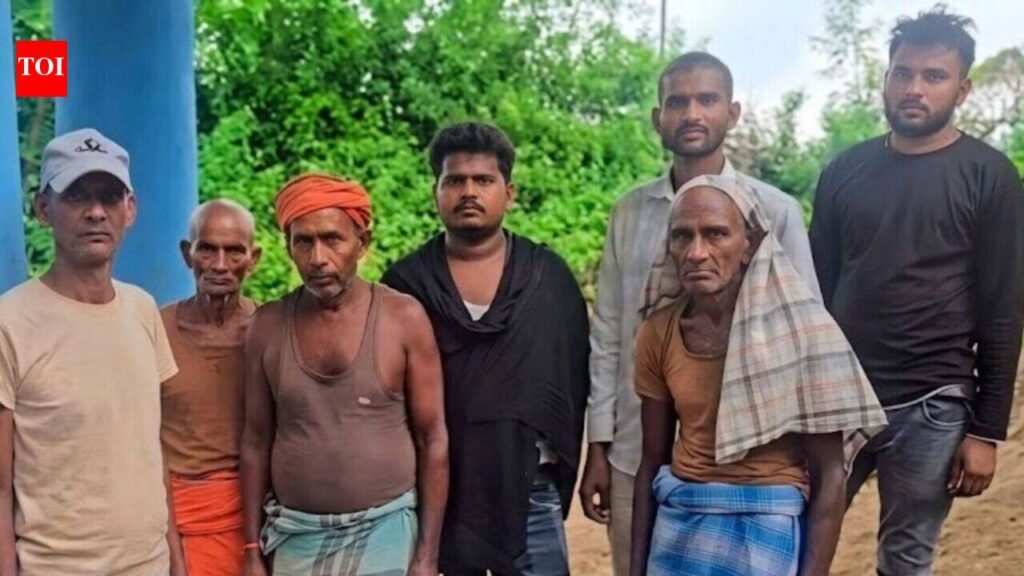 Wild hornet swarm kills four, injures 180 in three weeks in Giridih: Officials | Ranchi News