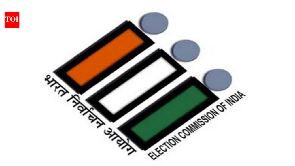 ‘No eligible elector will be left behind’: Goa CEO clarifies on 97 missing voters | India News