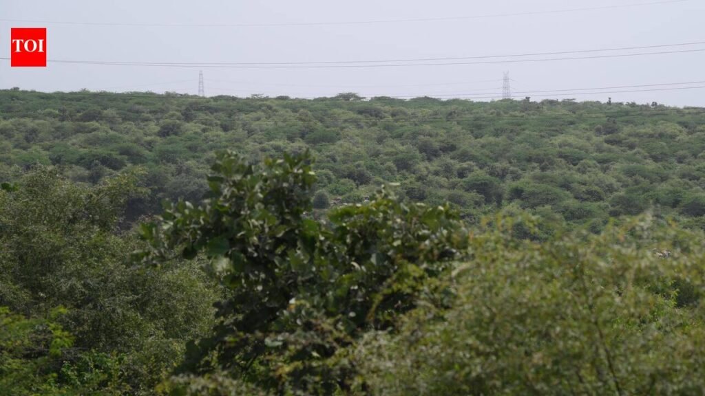 SC leaves decisions on identifying forests in states to HCs | Gurgaon News
