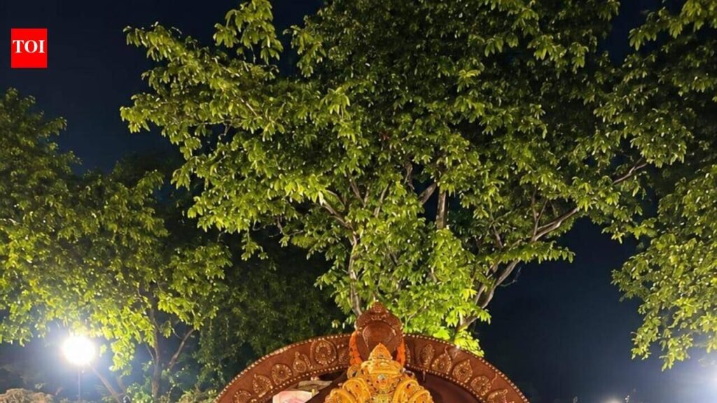 Festivity departs with Ganpati on ‘visarjan’ day | Lucknow News