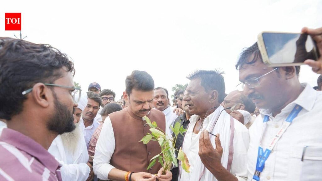 Maha to declare drought in areas with high rain deficit, CM vows direct aid to farmers | Nagpur News