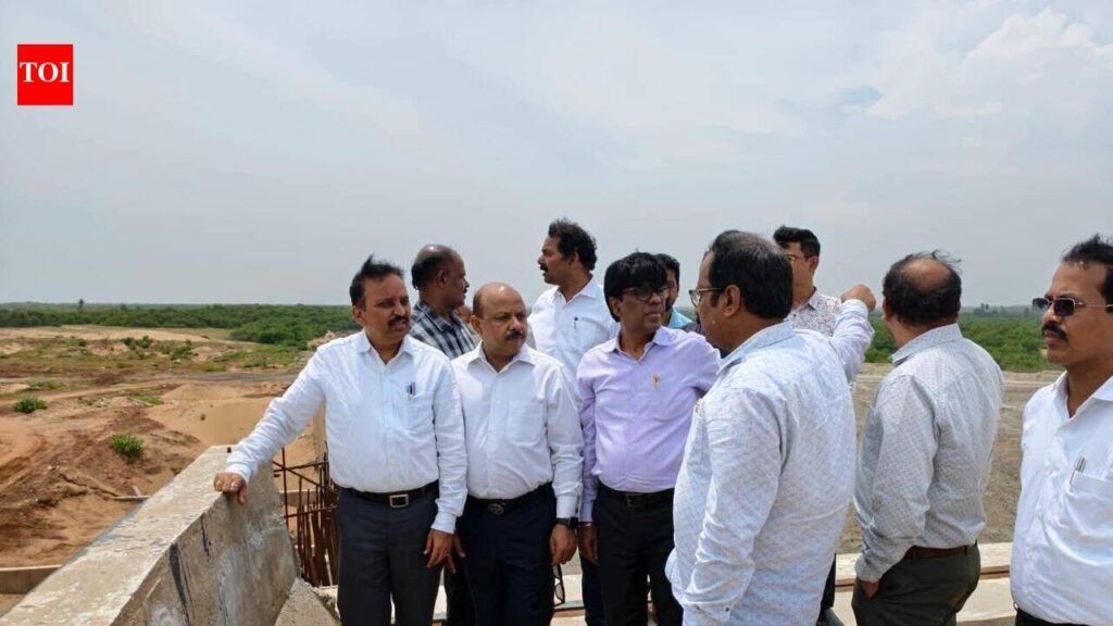 Puri to get international cruise terminal by 2028 | Bhubaneswar News