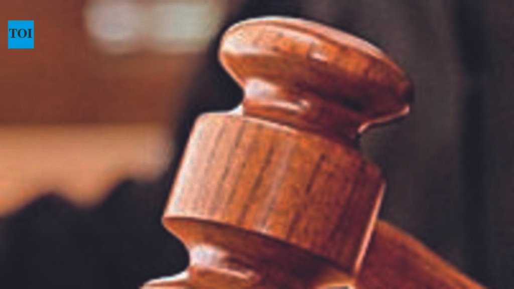 Husband, mother-in-law get 7 years for abetting suicide of pregnant woman | Noida News