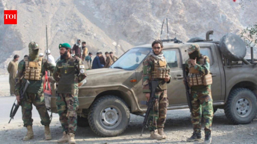 Several Taliban fighters killed in clash along Pakistan-Afghanistan border