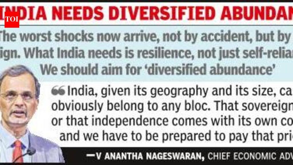 ‘Crude prices have risen 30% in a month’: CEA warns India exposed to multiple shocks