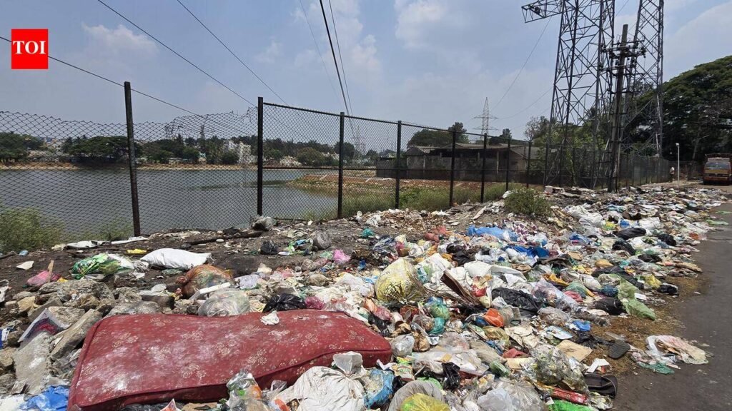 Bengaluru may get ‘waste wardens’ to boost segregation, garbage monitoring | Bengaluru News