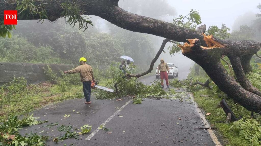 1,154 people evacuated amid heavy rain in Malkangiri | Bhubaneswar News