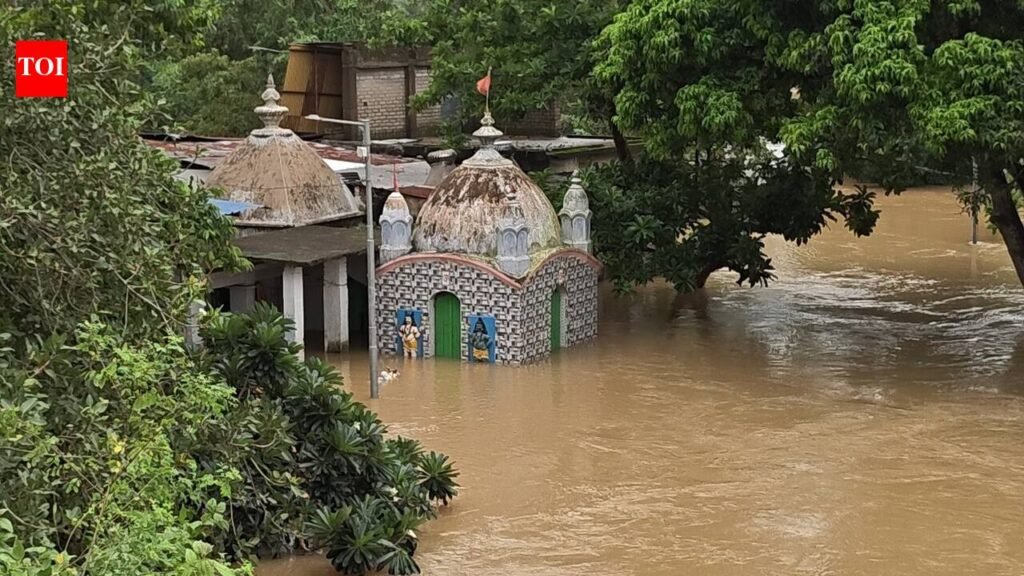 Rain continues in Odisha forcing evacuations, damaging infrastructure | Bhubaneswar News
