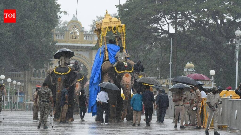 Wooden howdah rehearsal postponed due to rain | Mysuru News