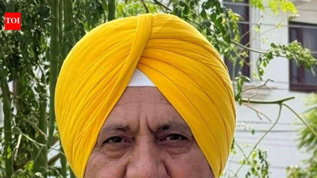 AAP questions SGPC over probe panel, says move aimed at buying time | Chandigarh News