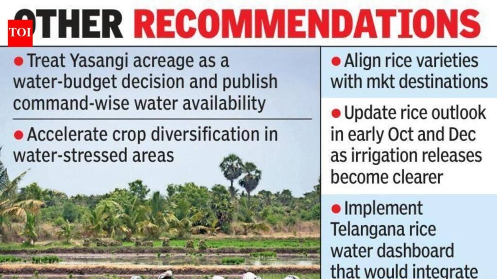 Rice surplus to narrow as El Nino hits Telangana output | Hyderabad News
