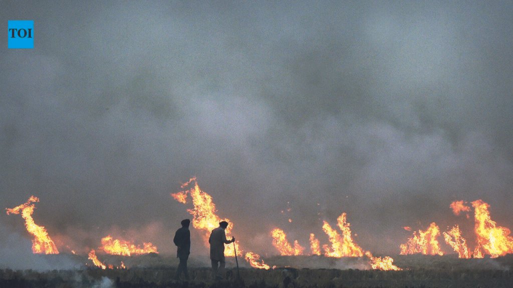 5 more farm fires in Punjab, season tally rises to 32 | Chandigarh News