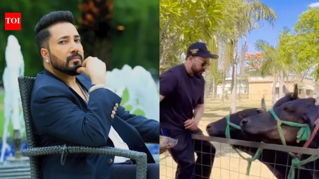 Inside Mika Singh’s 100-acre farm near Delhi: Mustard fields, private helipad, Gurudwara & jobs for 150 families |