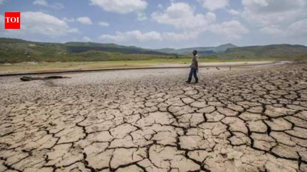 Maharashtra declares drought in 265 talukas; collectors tasked with crop-loss assessment and relief plan | Pune News