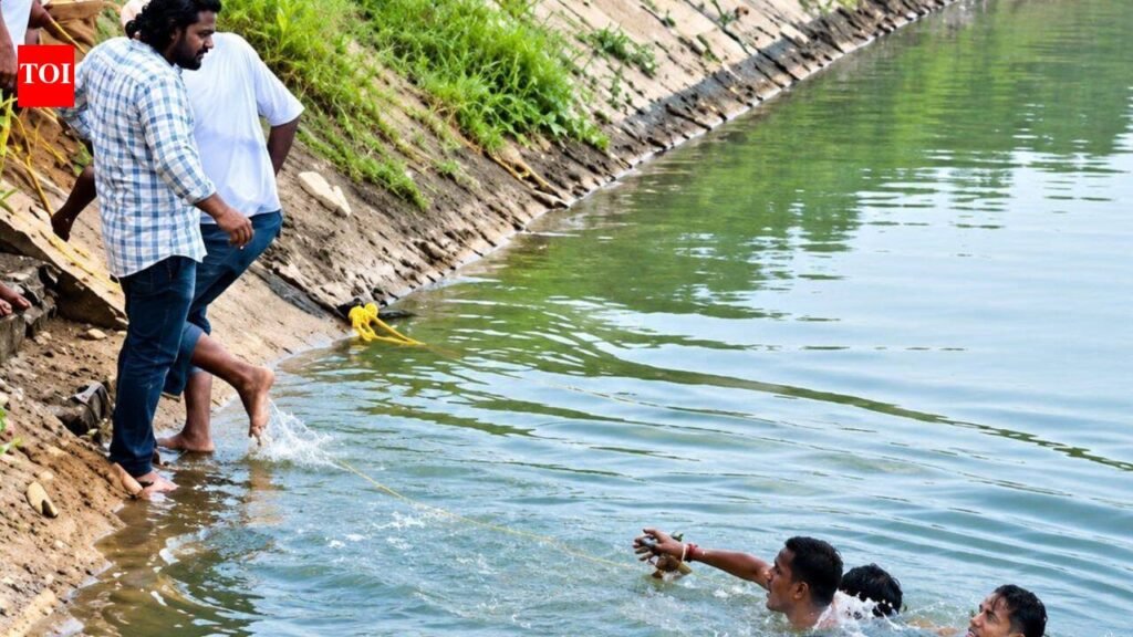 3 youths drown during Ganesh idol immersion in Bahadurgarh | Gurgaon News