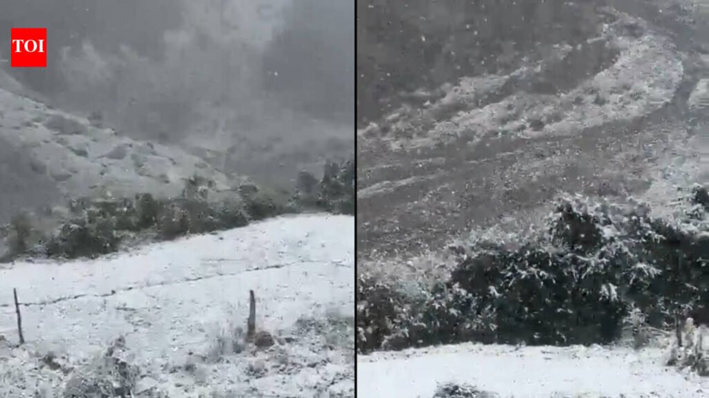 Season’s first snowfall blankets Himachal Pradesh’s Kinnaur as early winter chill reaches higher reaches |