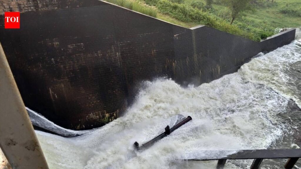 Floodgates opened at 10 reservoirs as heavy rain raises river levels | Ranchi News