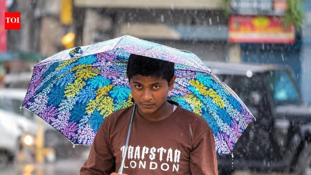 Rain and gusty winds likely for next two days, says IMD | Gurgaon News
