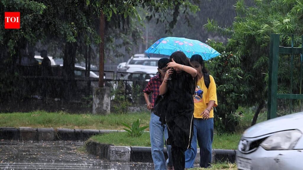 Rainfall cools city, pleasant days ahead | Chandigarh News