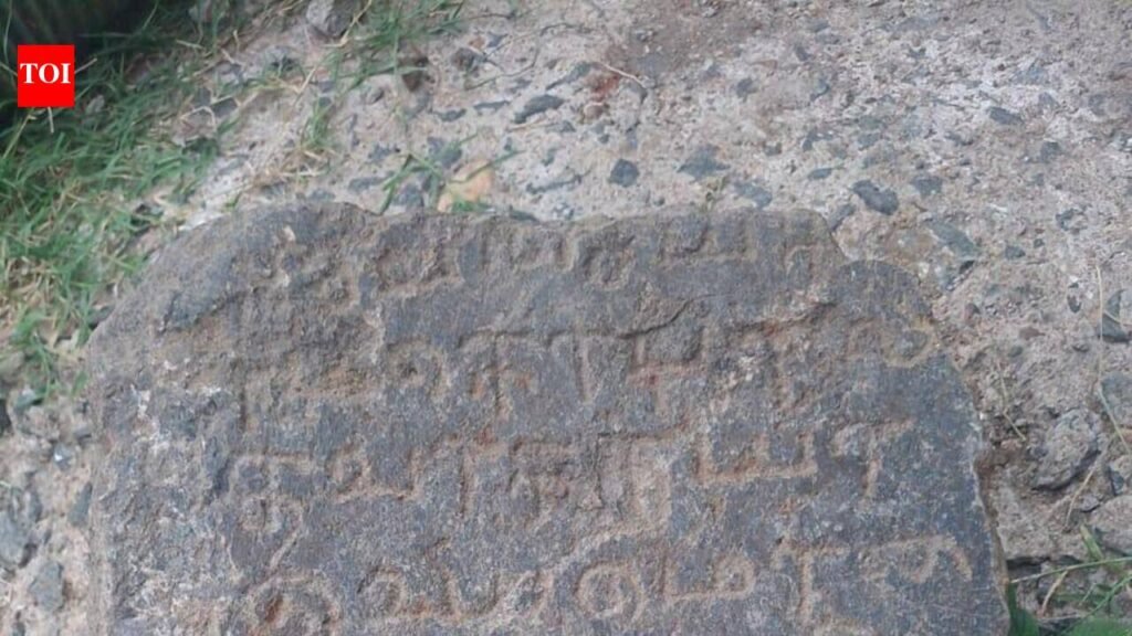 A 13th century sluice inscription found during desilting of Medavakkam tank | Chennai News