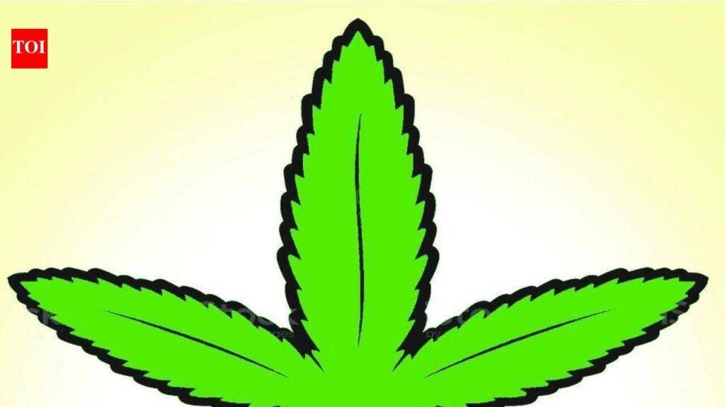 Odisha man, minor held with ganja worth Rs 10L | Goa News