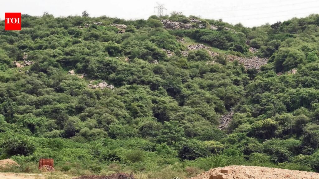 493 hills, yet Mangar ‘agri land’ on paper: Decade after NGT sought clarity on status, experts say loophole in records threatens Aravalis | Gurgaon News