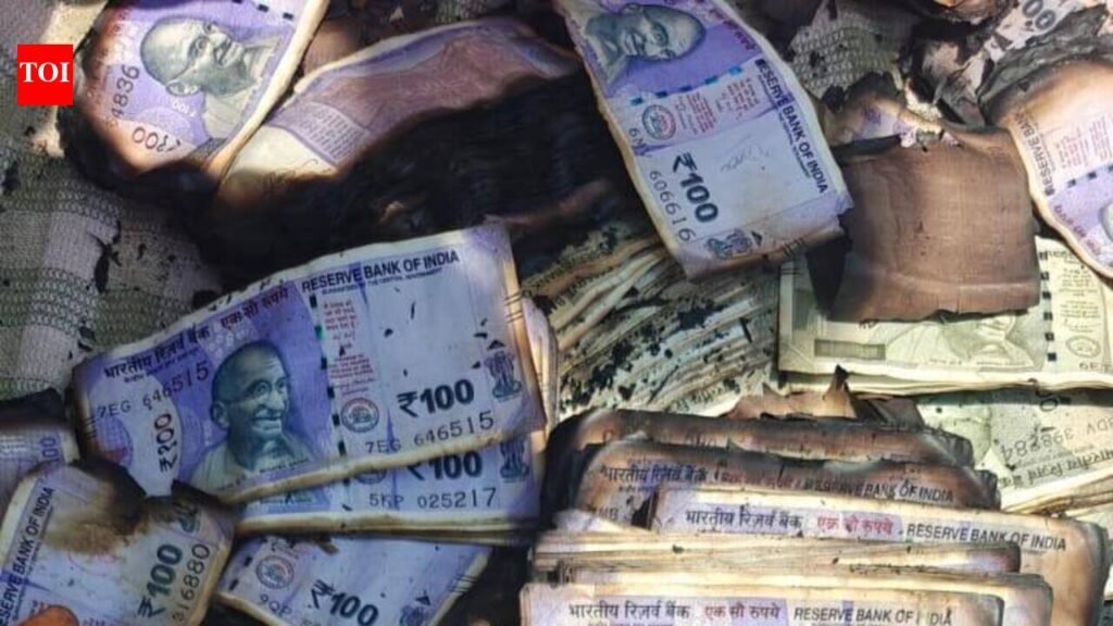 ₹20 lakh cash destroyed as fire engulfs makeshift home in Vikarabad | Hyderabad News