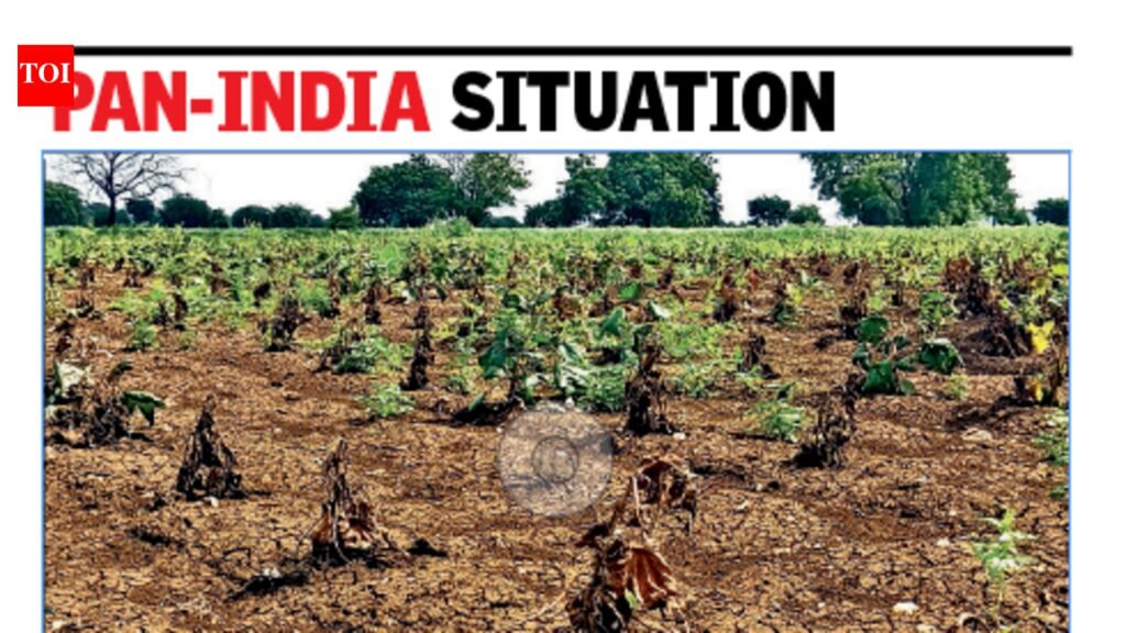 17-week rain deficiency scripts Maha drought story | Pune News