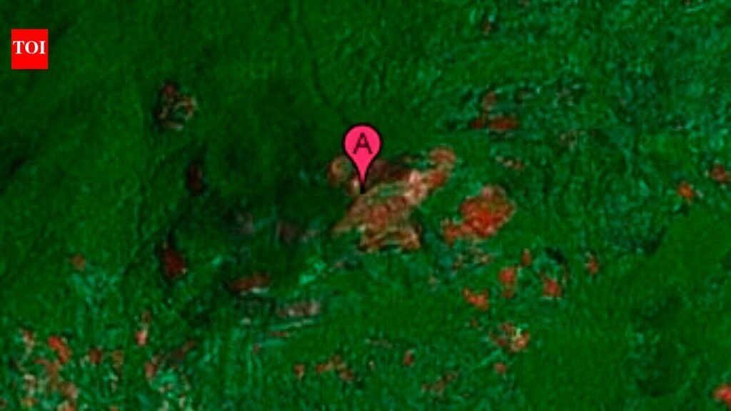 In 2005, conservation scientist Julian Bayliss spotted a vast Mozambique rainforest on Google Earth; in 2008, a 28-scientist expedition found three new butterfly species and a new snake
