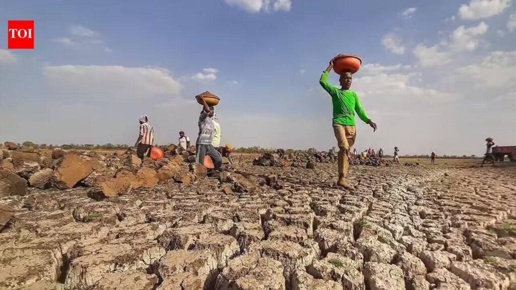Vidarbha and Marathwada account for 64% of the drought-affected talukas | Mumbai News