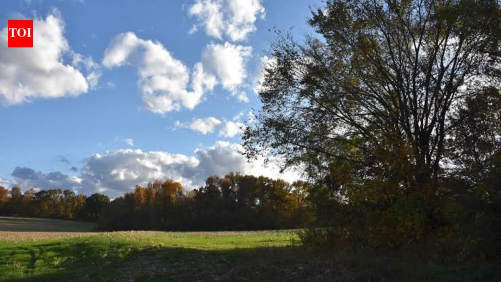 In 1988, Ohio attorney Neil McKown secretly bought 155 neglected acres; 38 years later, the family farms nearly 500 acres and he declined a $400,000-$500,000 timber cut to keep the woods