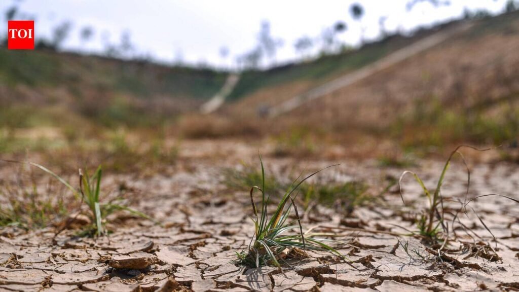 Drought across Maharashtra clouds Mumbai’s water relief despite 97% lake stock | Mumbai News