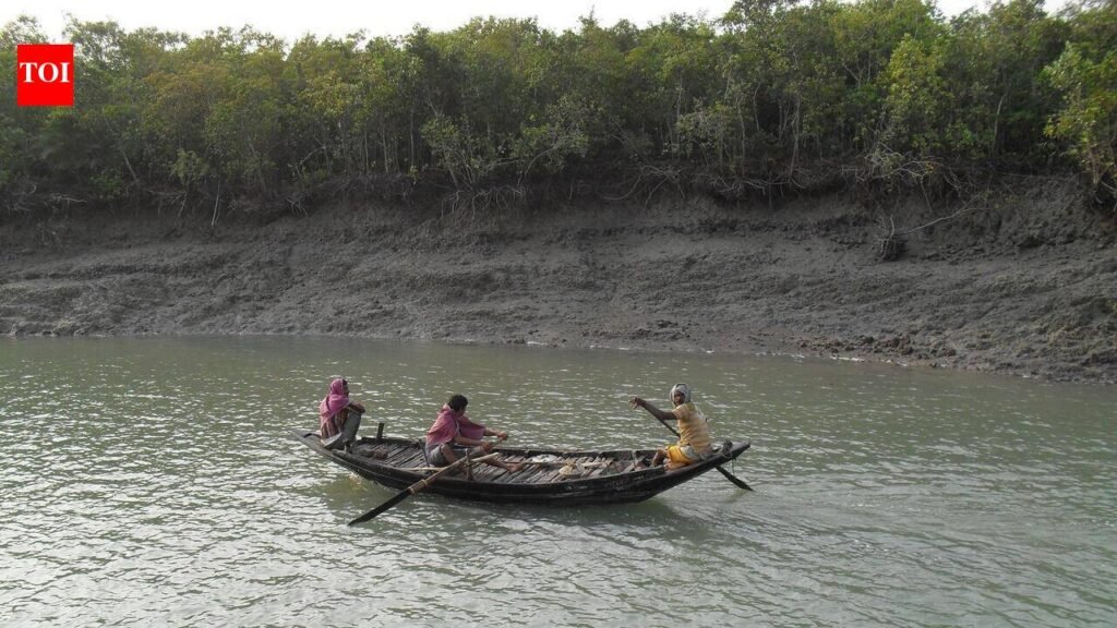 Modi praises Sundarbans widows for leading mangrove restoration | Kolkata News