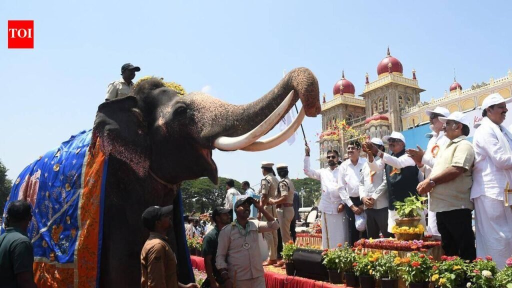 Karnataka gives tourism dual status to spur investment | Mysuru News