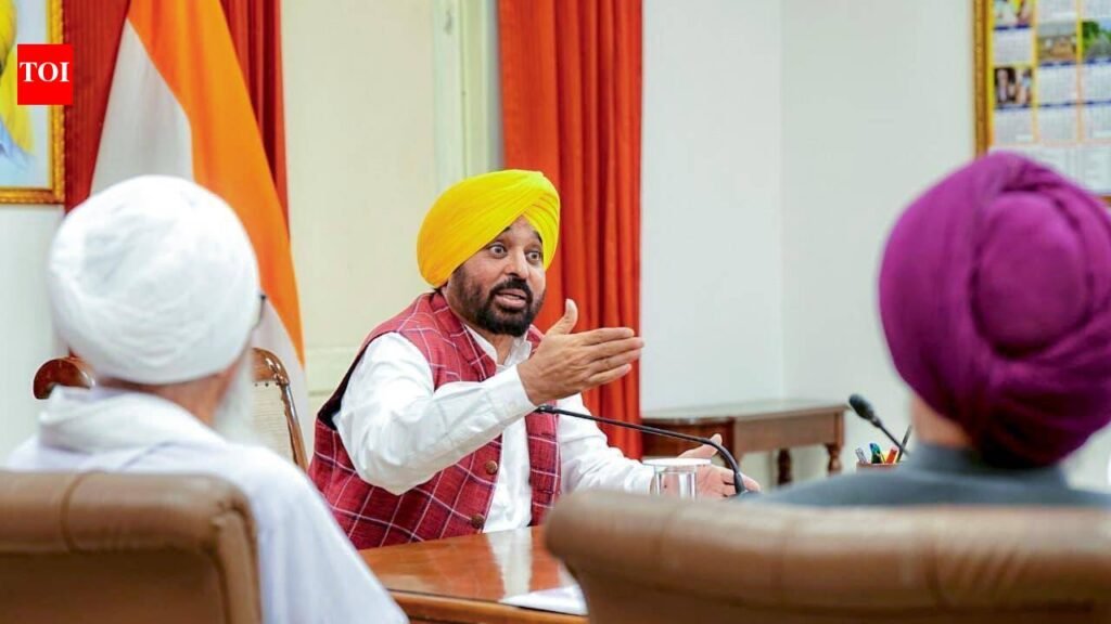 ‘Spirit of anti-sacrilege law must not be compromised’: Punjab CM holds meet with panel as Akal Takht deadline looms | Chandigarh News