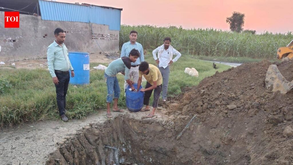 600kg paneer headed to city found unfit, dumped in Nuh | Gurgaon News